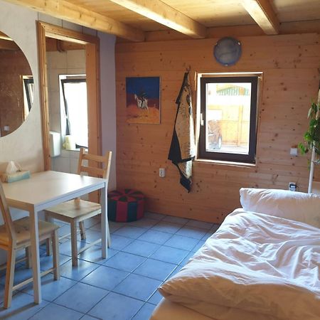 Homestay Sleepy Traveler 阿特尔高地区圣格奥尔根 外观 照片